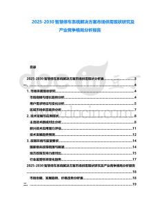 2025-2030智慧停車系統(tǒng)解決方案市場供需現(xiàn)狀研究及產(chǎn)業(yè)競爭格局分析報告