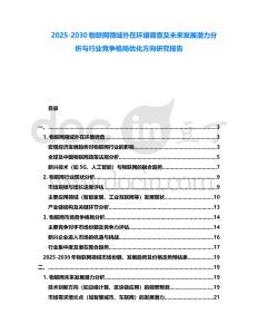 2025-2030物聯網領域外在環境調查及未來發展潛力分析與行業競爭格局優化方向研究報告