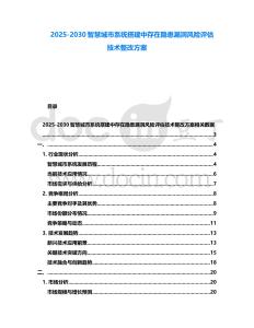 2025-2030智慧城市系統搭建中存在隱患漏洞風險評估技術整改方案