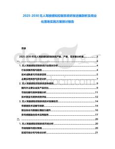 2025-2030無人駕駛感知控制系統研發進展剖析及商業化落地實施方案探討報告
