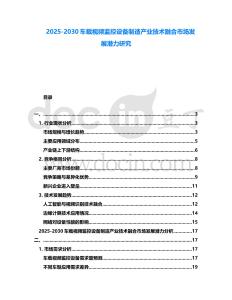 2025-2030車載視頻監控設備制造產業技術融合市場發展潛力研究