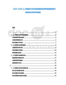2025-2030人工智能行業市場發展現狀競爭格局融資評估規劃分析研究報告