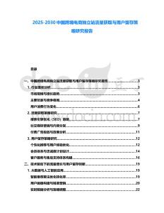 2025-2030中國跨境電商獨立站流量獲取與用戶留存策略研究報告