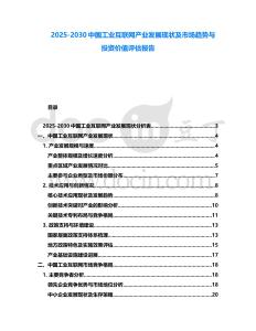 2025-2030中國工業互聯網產業發展現狀及市場趨勢與投資價值評估報告