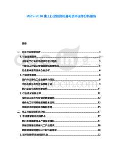2025-2030化工行業(yè)投資機遇與資本運作分析報告