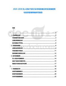 2025-2030無人貨運飛機行業(yè)市場發(fā)展分析及發(fā)展趨勢與投資管理策略研究報告