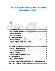 2025-2030中東地區(qū)信息技術(shù)行業(yè)市場發(fā)展供需分析及投資評估規(guī)劃分析研究報告