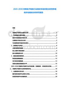 2025-2030河南電子商務(wù)行業(yè)現(xiàn)狀市場供需分析競爭格局評估規(guī)劃分析研究報告