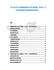 2025至2030中國(guó)頻率選擇MEMS振蕩器（FSMO）行業(yè)市場(chǎng)深度研究與戰(zhàn)略咨詢分析報(bào)告