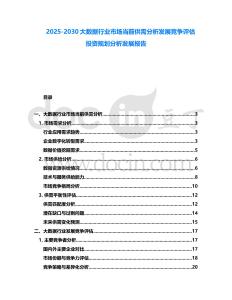 2025-2030大數據行業市場當前供需分析發展競爭評估投資規劃分析發展報告