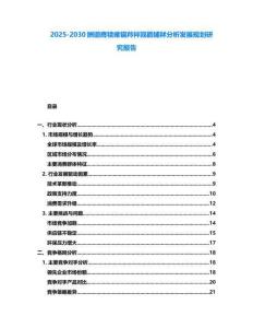 2025-2030酬谫膺犢癱錨羚袢覬戳鋪秫分析發展規劃研究報告