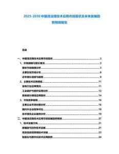2025-2030中國清潔煤技術應用市場現狀及未來發展趨勢預測報告