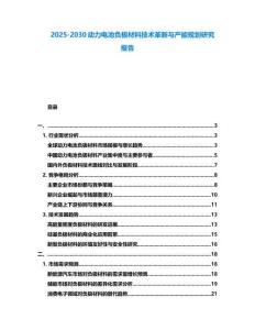 2025-2030動力電池負(fù)極材料技術(shù)革新與產(chǎn)能規(guī)劃研究報告
