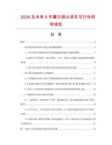 2026及未來5年霍爾探頭項目可行性研究報告