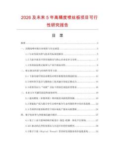 2026及未來5年高精度噴絲板項(xiàng)目可行性研究報(bào)告