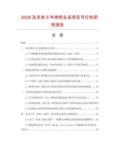 2026及未來5年閘把總成項目可行性研究報告