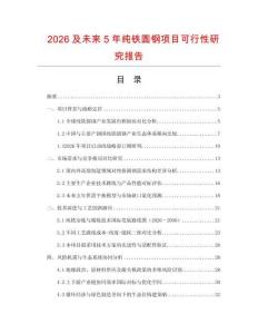 2026及未來5年純鐵圓鋼項目可行性研究報告