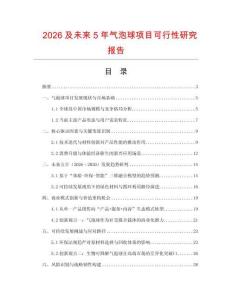 2026及未來5年氣泡球項目可行性研究報告