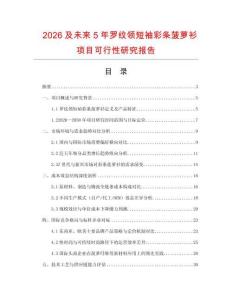 2026及未來5年羅紋領短袖彩條菠蘿衫項目可行性研究報告