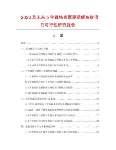 2026及未來5年鍍鉻表面浸塑鯉魚鉗項目可行性研究報告
