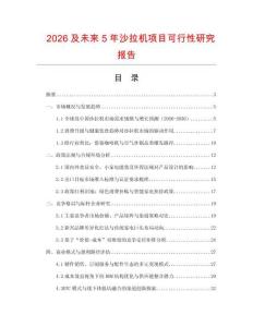 2026及未來5年沙拉機項目可行性研究報告
