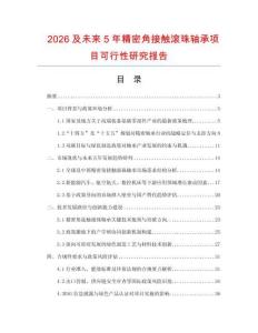 2026及未來5年精密角接觸滾珠軸承項(xiàng)目可行性研究報(bào)告