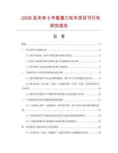 2026及未來5年載重三輪車項目可行性研究報告