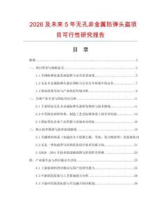 2026及未來5年無孔非金屬防彈頭盔項目可行性研究報告