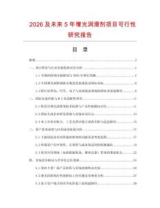 2026及未來5年增光潤滑劑項目可行性研究報告