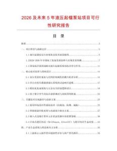 2026及未來5年液壓起錨泵站項(xiàng)目可行性研究報(bào)告