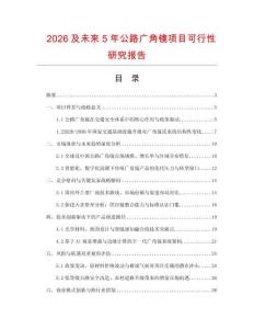 2026及未來5年公路廣角鏡項目可行性研究報告