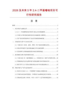 2026及未來5年2.4-二甲基噻唑項目可行性研究報告