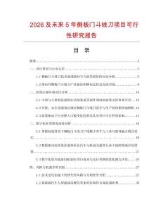 2026及未來5年側板門斗線刀項目可行性研究報告