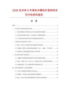 2026及未來(lái)5年美標(biāo)內(nèi)螺紋針型閥項(xiàng)目可行性研究報(bào)告