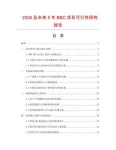 2026及未來5年BBC項目可行性研究報告