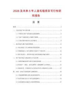 2026及未來5年人造毛毯項目可行性研究報告