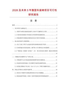 2026及未來5年微型車座椅項目可行性研究報告