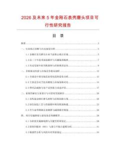 2026及未來5年金剛石表殼磨頭項目可行性研究報告