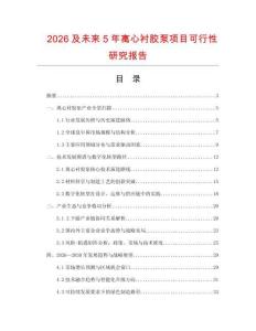 2026及未來5年離心襯膠泵項目可行性研究報告