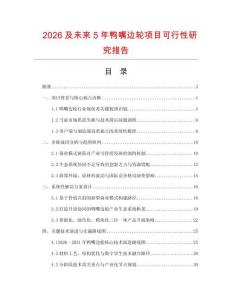 2026及未來5年鴨嘴邊輪項目可行性研究報告