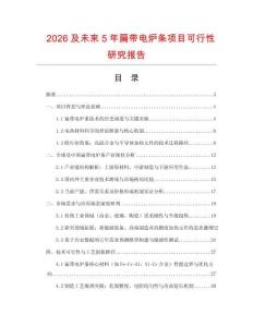 2026及未來5年扁帶電爐條項目可行性研究報告