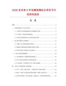 2026及未來5年電鍍玻璃鉆頭項(xiàng)目可行性研究報(bào)告