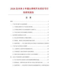 2026及未來5年插頭照明開關項目可行性研究報告