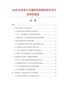 2026及未來5年通體彩色型材項目可行性研究報告