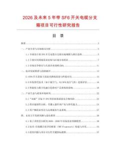 2026及未來5年帶SF6開關電纜分支箱項目可行性研究報告
