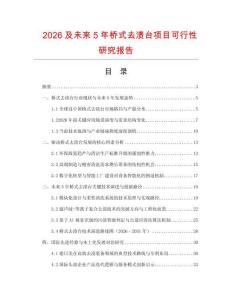 2026及未來5年橋式去漬臺項目可行性研究報告