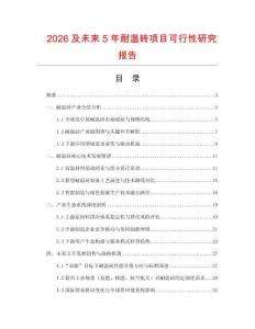 2026及未來5年耐溫磚項(xiàng)目可行性研究報(bào)告