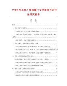 2026及未來5年雙掩門文件柜項目可行性研究報告