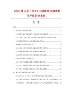 2026及未來5年P(guān)LC模組繼電器項目可行性研究報告