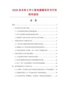 2026及未來5年小型電暖器項目可行性研究報告